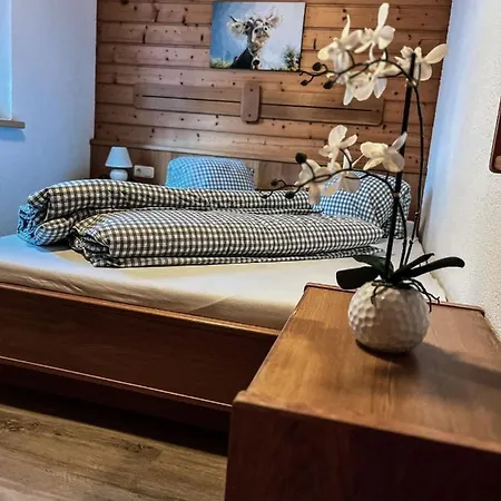 Casa Gomes 公寓 加舒恩